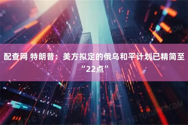 配查网 特朗普：美方拟定的俄乌和平计划已精简至“22点”