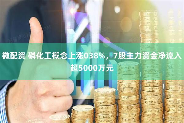 微配资 磷化工概念上涨038%，7股主力资金净流入超5000万元