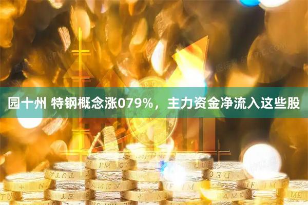 园十州 特钢概念涨079%，主力资金净流入这些股